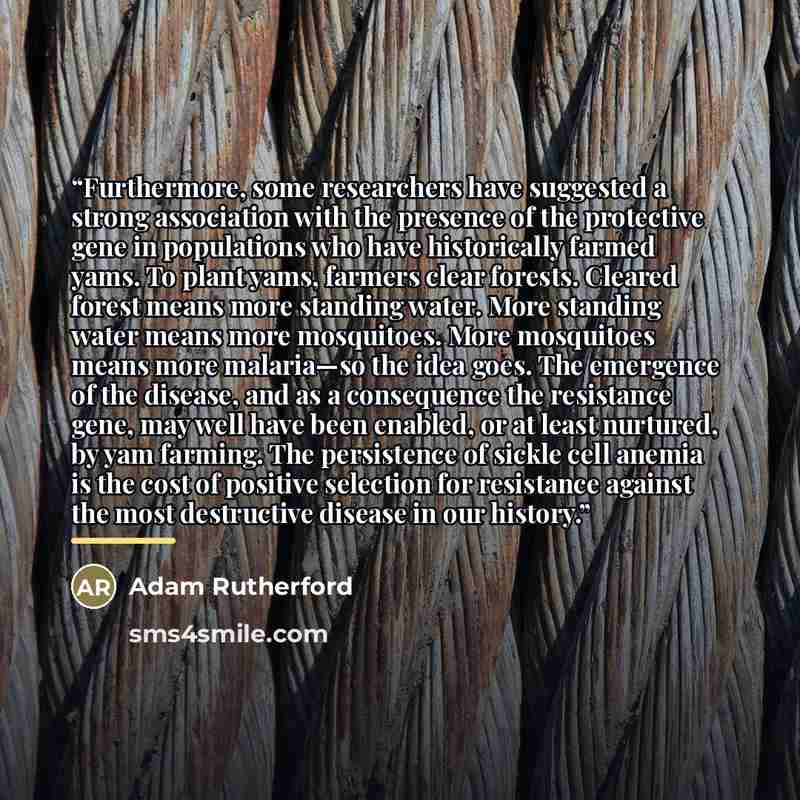 “Furthermore, some researchers have suggested a strong association with the presence of the protective gene in populations who have historically farmed yams. To plant yams, farmers clear forests. Cleared forest means more standing water. More standing water means more mosquitoes. More mosquitoes…” quote by Adam Rutherford