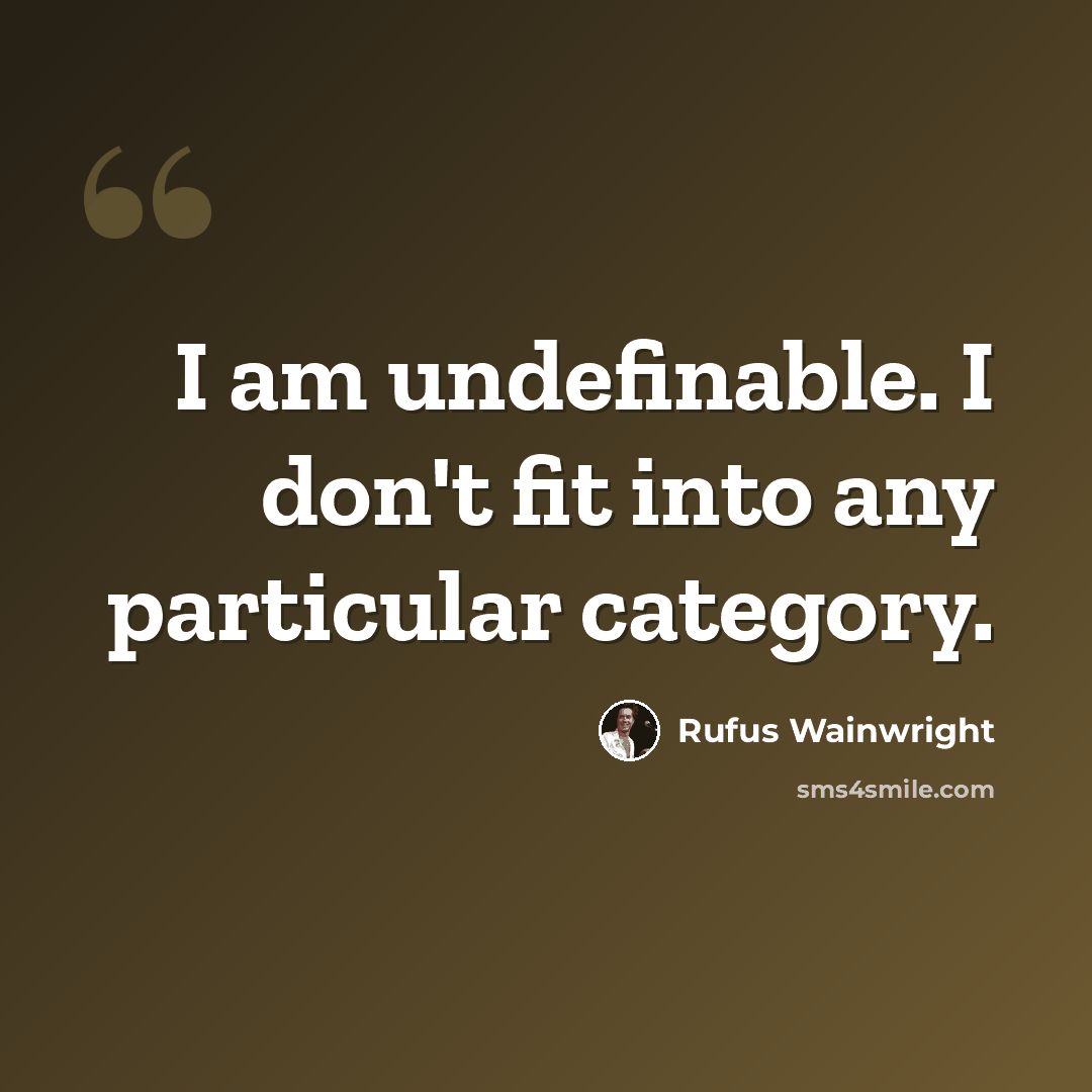 “I am undefinable. I don't fit into any particular category.” quote by Rufus Wainwright