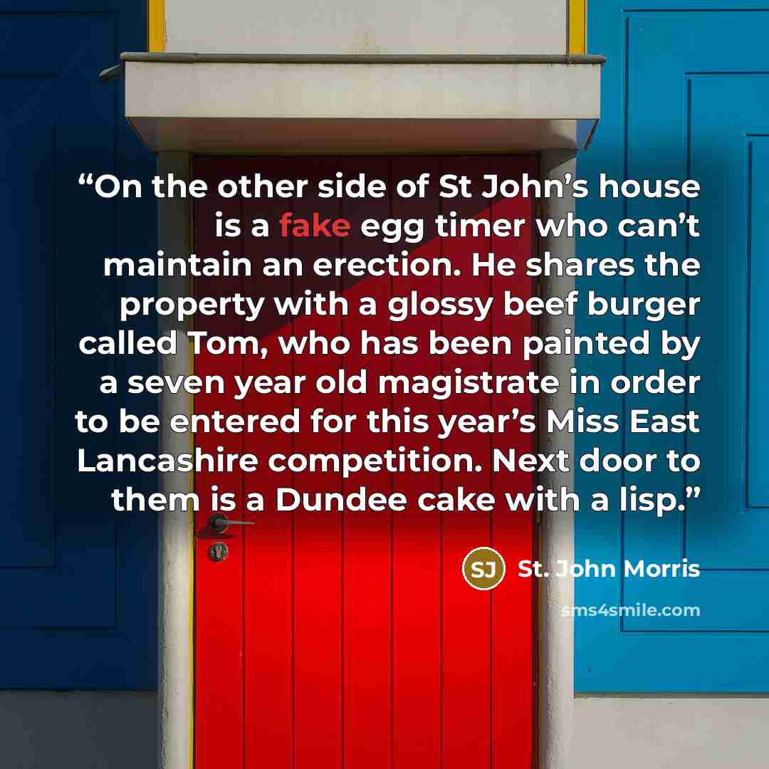 “On the other side of St John’s house is a fake egg timer who can’t maintain an erection. He shares the property with a glossy beef burger called Tom, who has been painted by a seven year old magistrate in order to be entered for this year’s Miss East Lancashire competition. Next door to them is a…” quote by St. John Morris