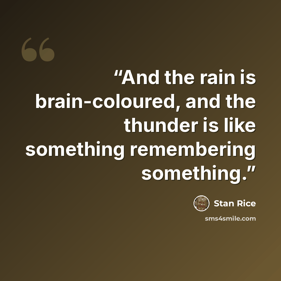 “And the rain is brain-coloured, and the thunder is like something remembering something.” quote by Stan Rice