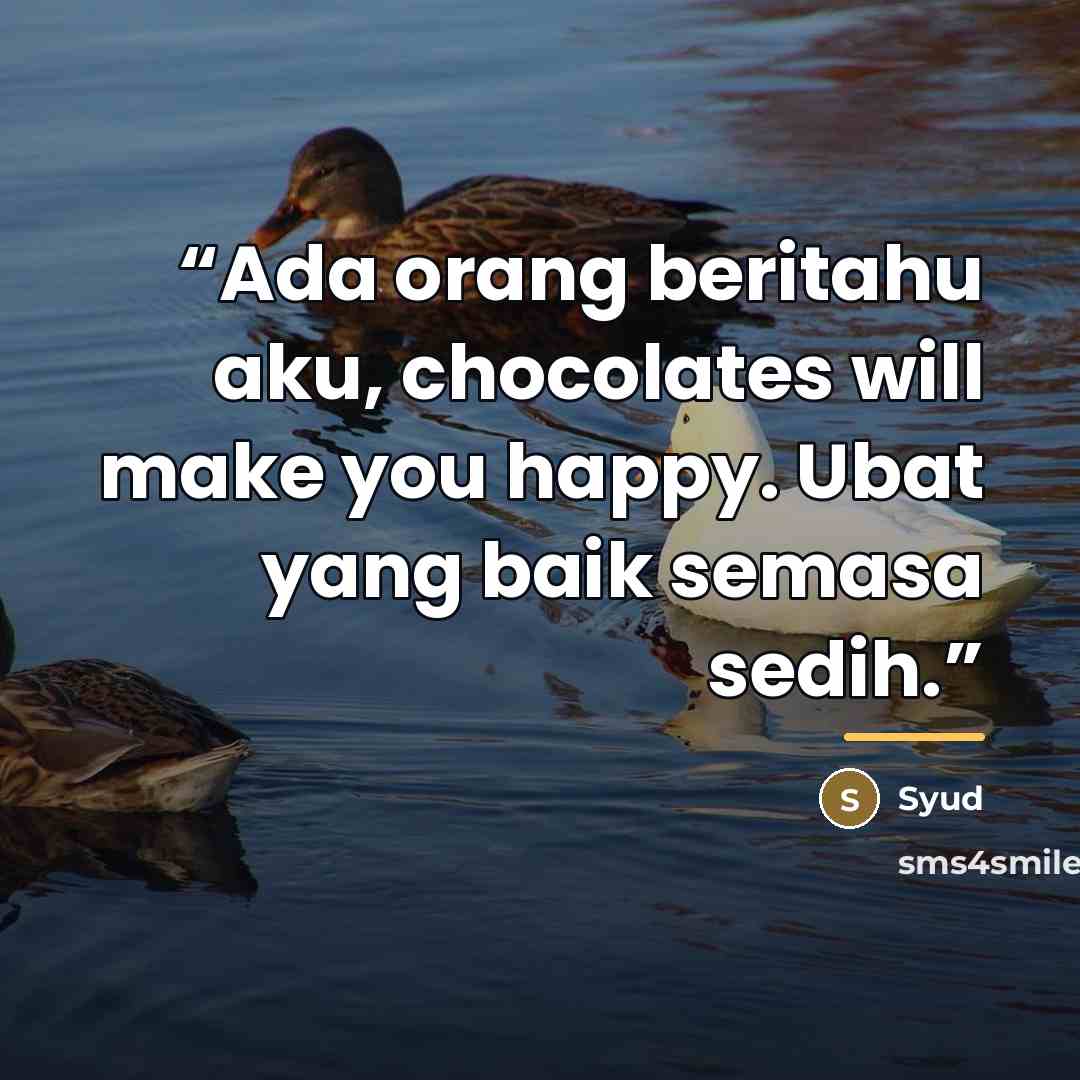 “Ada orang beritahu aku, chocolates will make you happy. Ubat yang baik semasa sedih.” quote by Syud