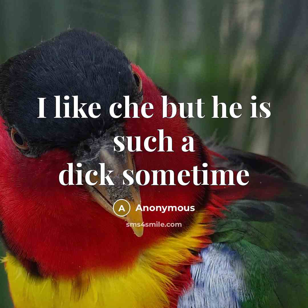 “I like che but he is such a dick sometime” quote by Anonymous