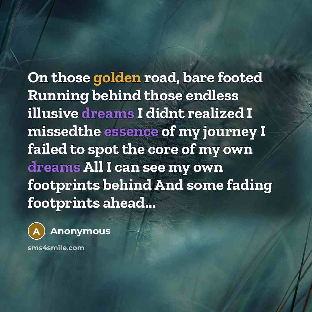 “On those golden road, bare footed Running behind those endless illusive dreams I didnt realized I missedthe essence of my journey I failed to spot the core of my own dreams All I can see my own footprints behind And some fading footprints ahead...” quote by Anonymous