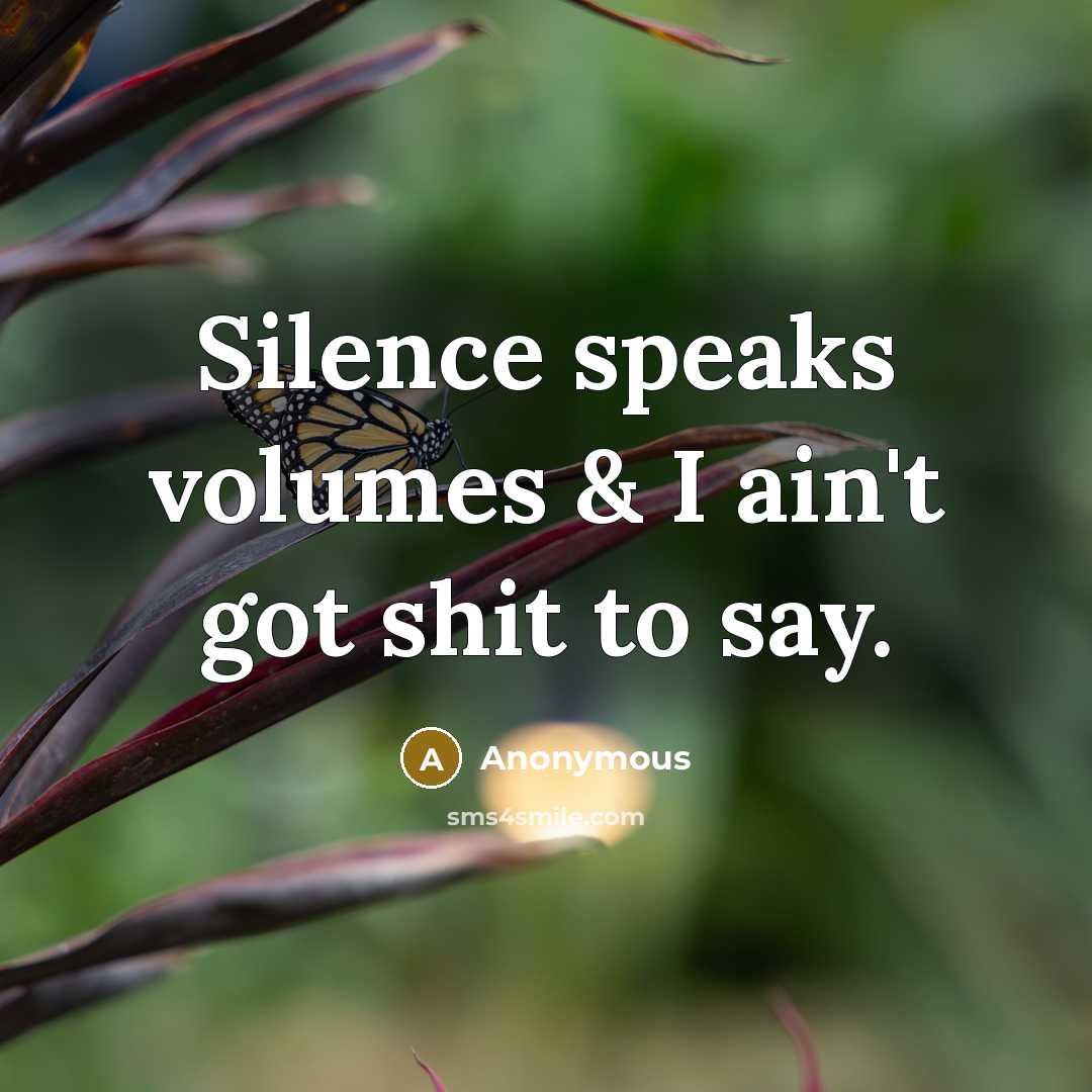 “Silence speaks volumes & I ain't got shit to say.” quote by Anonymous