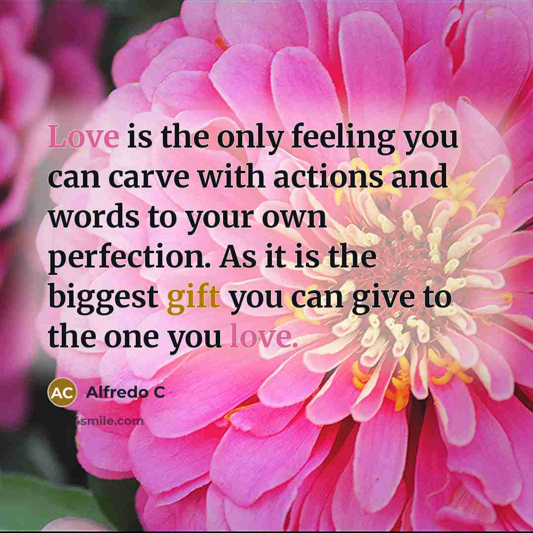 “Love is the only feeling you can carve with actions and words to your own perfection. As it is the biggest gift you can give to the one you love.” quote by Alfredo C