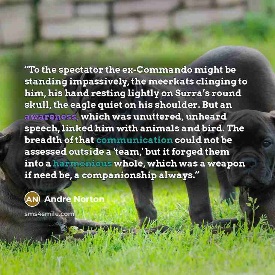 “To the spectator the ex-Commando might be standing impassively, the meerkats clinging to him, his hand resting lightly on Surra’s round skull, the eagle quiet on his shoulder. But an awareness, which was unuttered, unheard speech, linked him with animals and bird. The breadth of that communication…” quote by Andre Norton