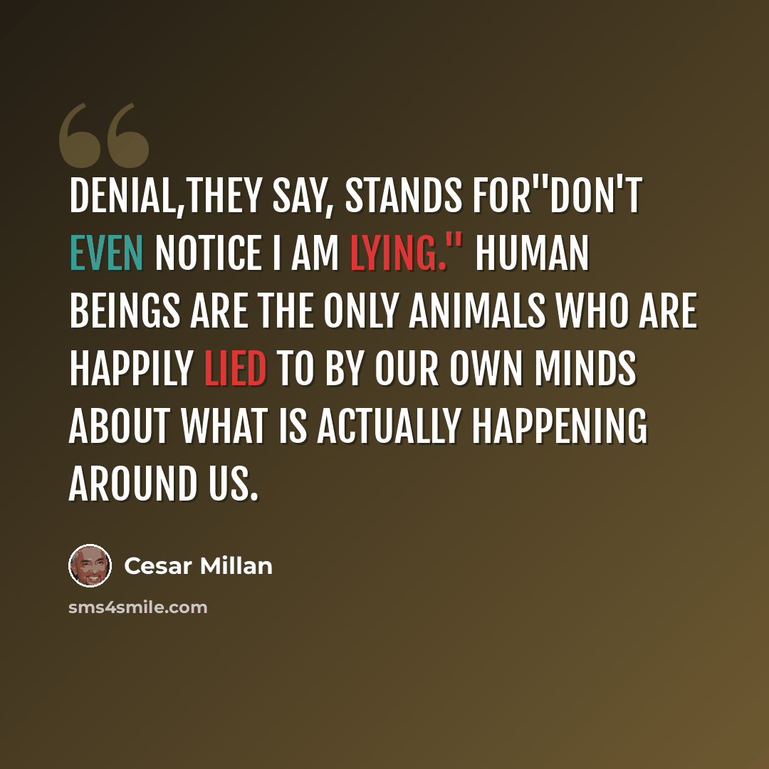 “Denial,they say, stands for"Don't even notice I am lying." Human beings are the only animals who are happily lied to by our own minds about what is actually happening around us.” quote by Cesar Millan