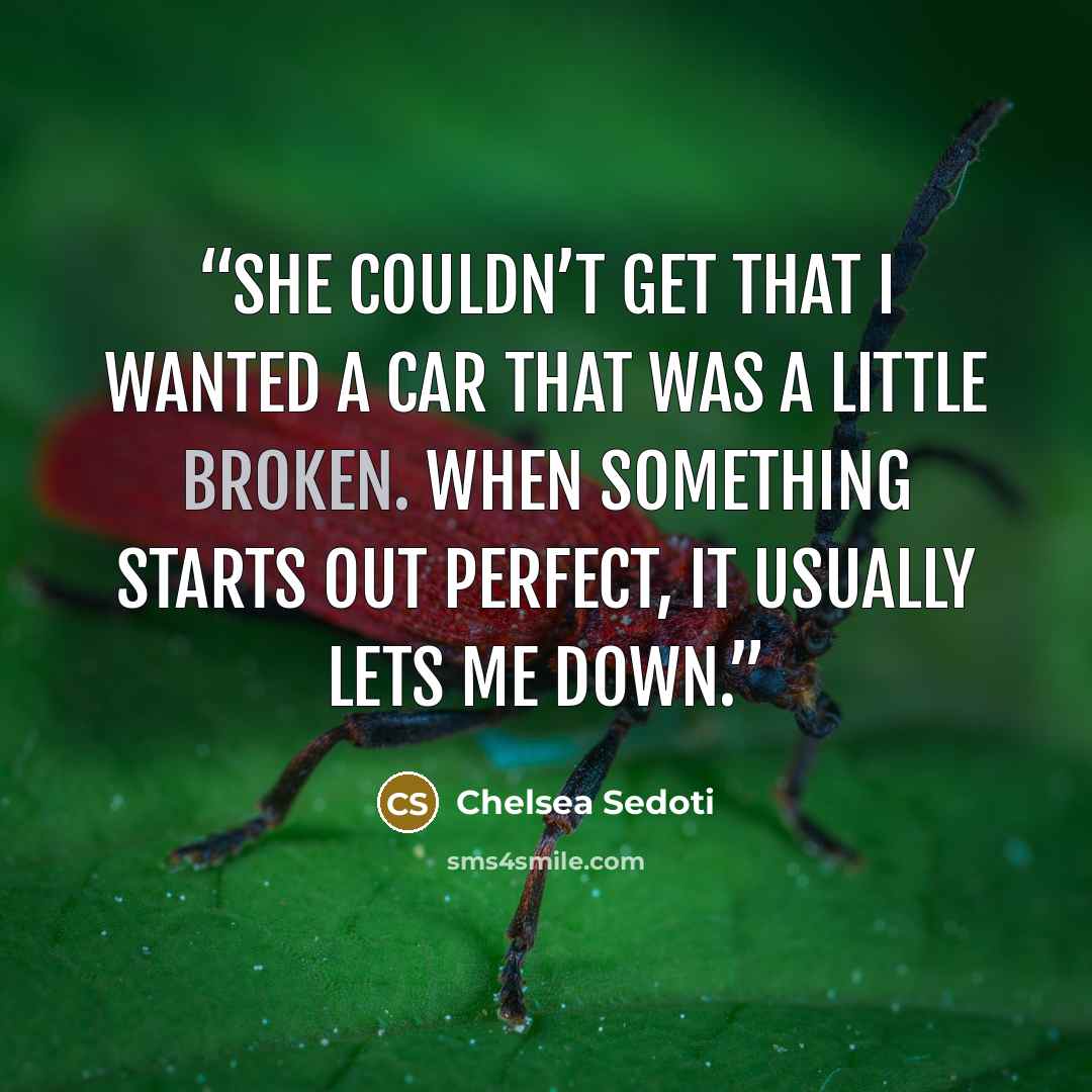 “She couldn’t get that I wanted a car that was a little broken. When something starts out perfect, it usually lets me down.” quote by Chelsea Sedoti