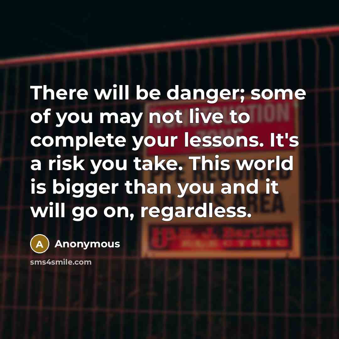 “There will be danger; some of you may not live to complete your lessons. It's a risk you take. This world is bigger than you and it will go on, regardless.” quote by Anonymous