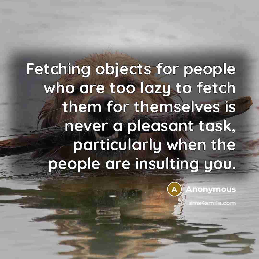 “Fetching objects for people who are too lazy to fetch them for themselves is never a pleasant task, particularly when the people are insulting you.” quote by Anonymous