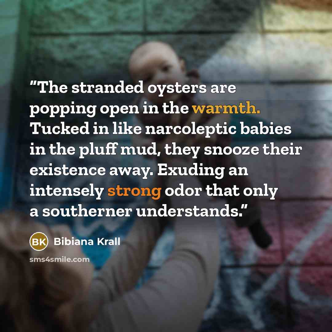 “The stranded oysters are popping open in the warmth. Tucked in like narcoleptic babies in the pluff mud, they snooze their existence away. Exuding an intensely strong odor that only a southerner understands.” quote by Bibiana Krall