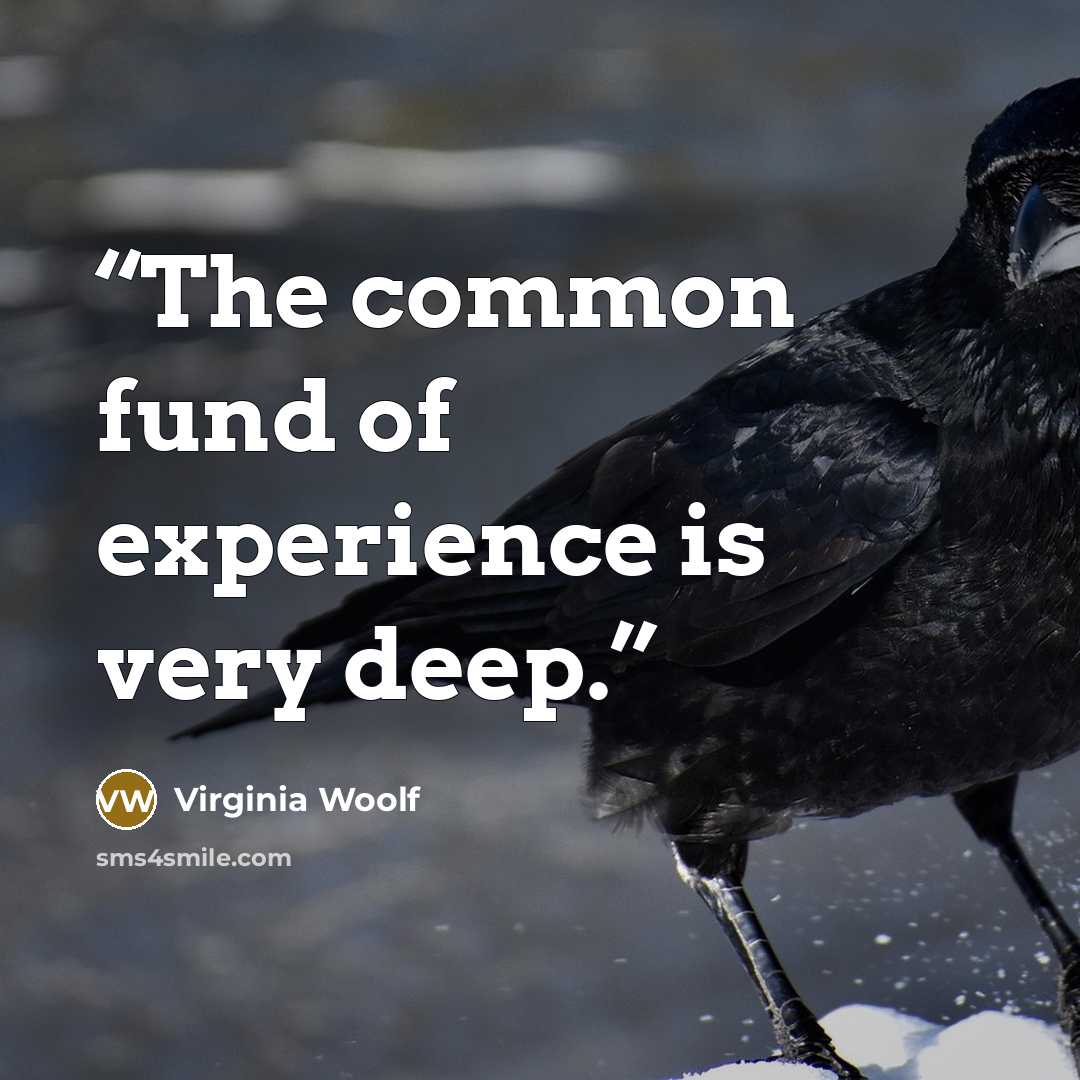 “The common fund of experience is very deep.” quote by Virginia Woolf