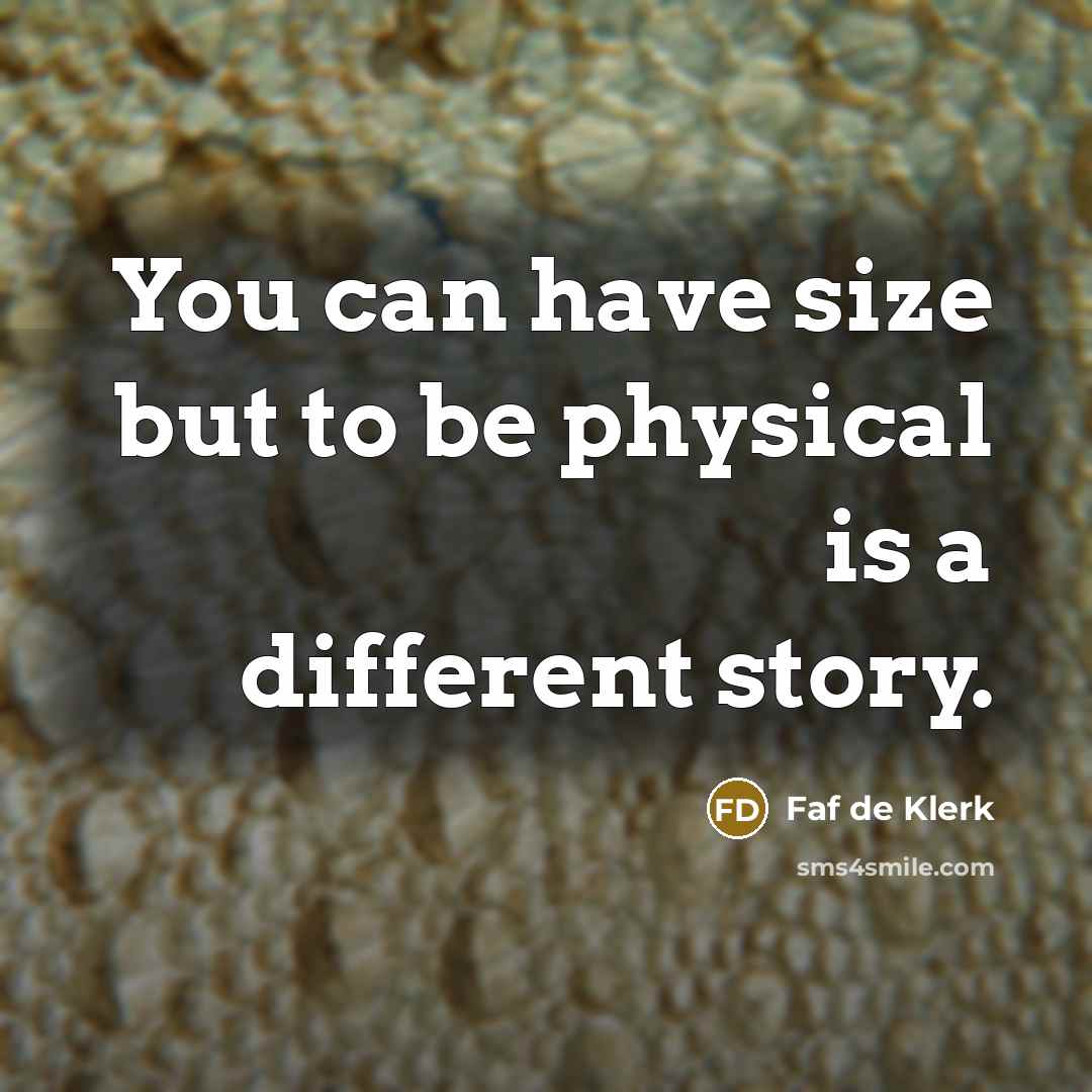“You can have size but to be physical is a different story.” quote by Faf de Klerk