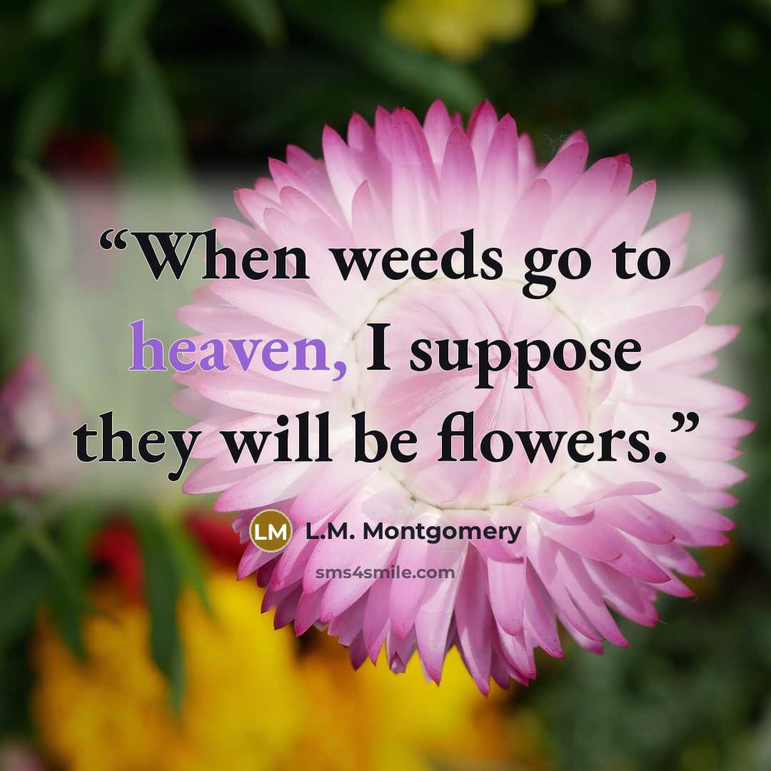 “When weeds go to heaven, I suppose they will be flowers.” quote by L.M. Montgomery