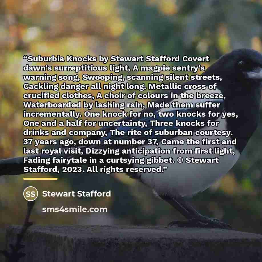 “Suburbia Knocks by Stewart Stafford Covert dawn's surreptitious light, A magpie sentry's warning song, Swooping, scanning silent streets, Cackling danger all night long. Metallic cross of crucified clothes, A choir of colours in the breeze, Waterboarded by lashing rain, Made them suffer…” quote by Stewart Stafford