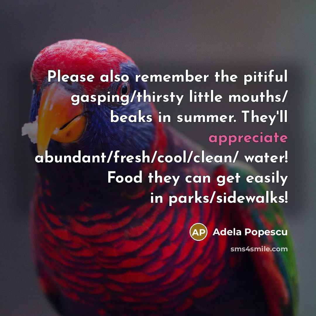 “Please also remember the pitiful gasping/thirsty little mouths/ beaks in summer. They'll appreciate abundant/fresh/cool/clean/ water! Food they can get easily in parks/sidewalks!” quote by Adela Popescu