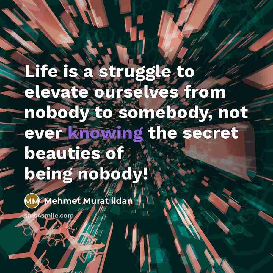 “Life is a struggle to elevate ourselves from nobody to somebody, not ever knowing the secret beauties of being nobody!” quote by Mehmet Murat Ildan