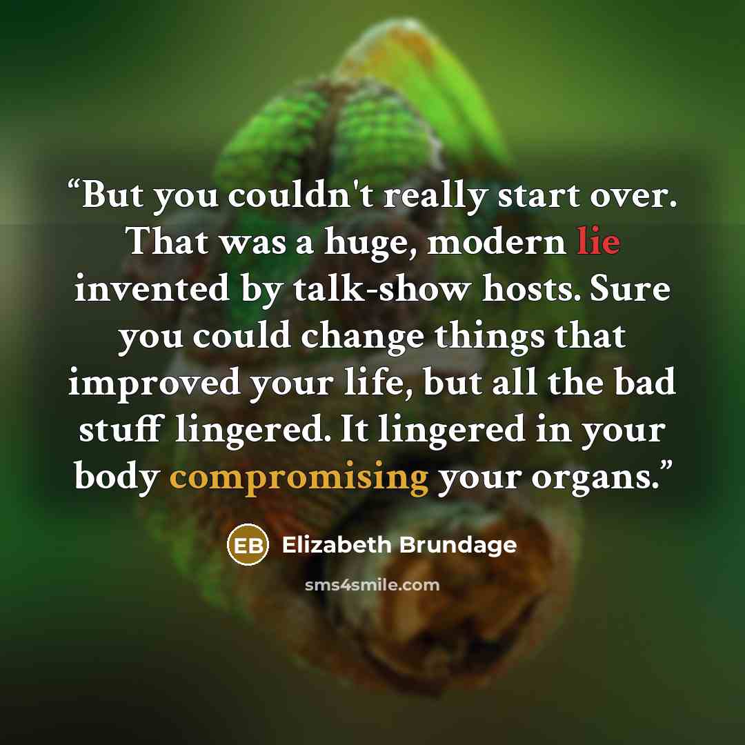“But you couldn't really start over. That was a huge, modern lie invented by talk-show hosts. Sure you could change things that improved your life, but all the bad stuff lingered. It lingered in your body compromising your organs.” quote by Elizabeth Brundage