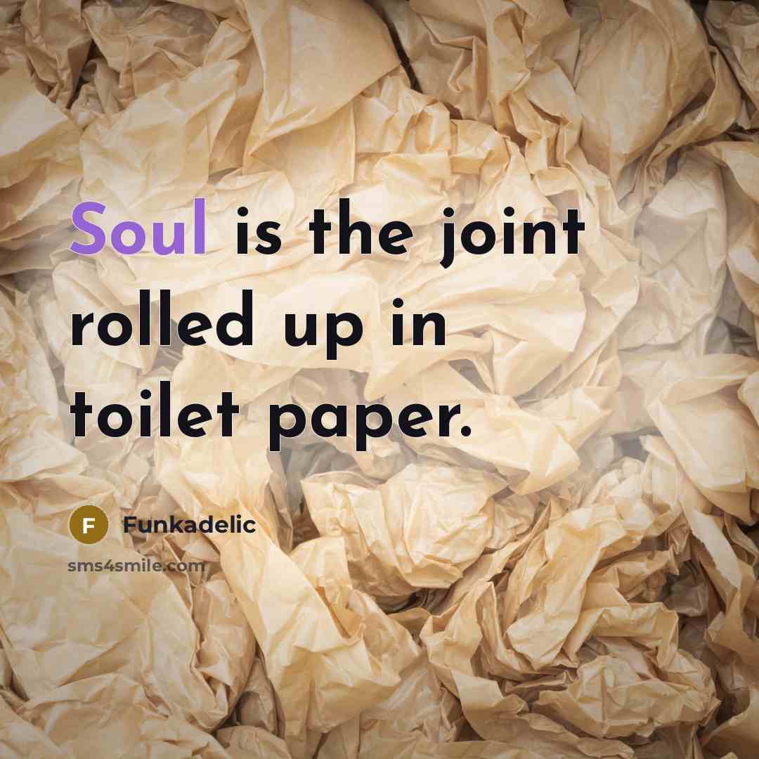“Soul is the joint rolled up in toilet paper.” quote by Funkadelic