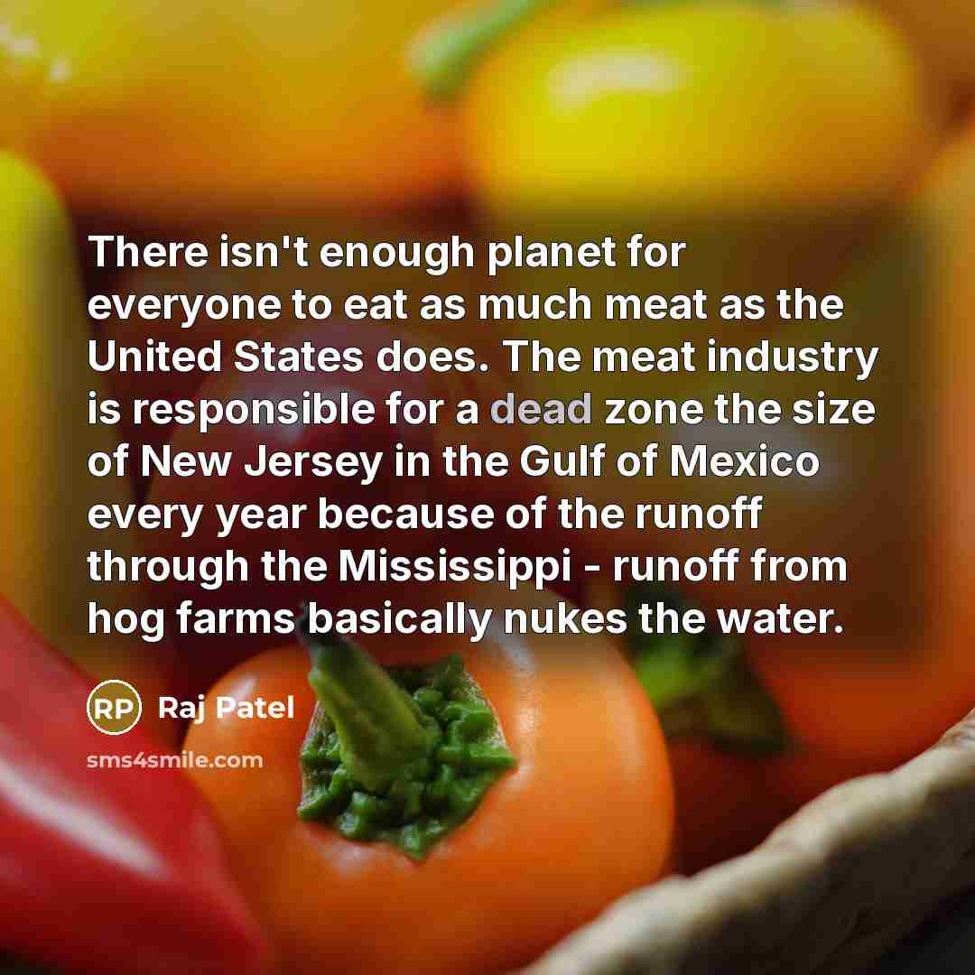 “There isn't enough planet for everyone to eat as much meat as the United States does. The meat industry is responsible for a dead zone the size of New Jersey in the Gulf of Mexico every year because of the runoff through the Mississippi - runoff from hog farms basically nukes the water.” quote by Raj Patel