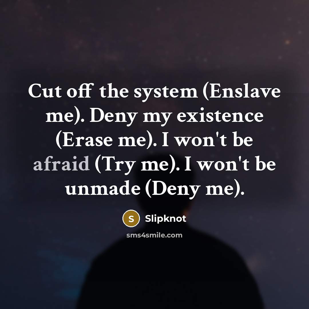 “Cut off the system (Enslave me). Deny my existence (Erase me). I won't be afraid (Try me). I won't be unmade (Deny me).” quote by Slipknot