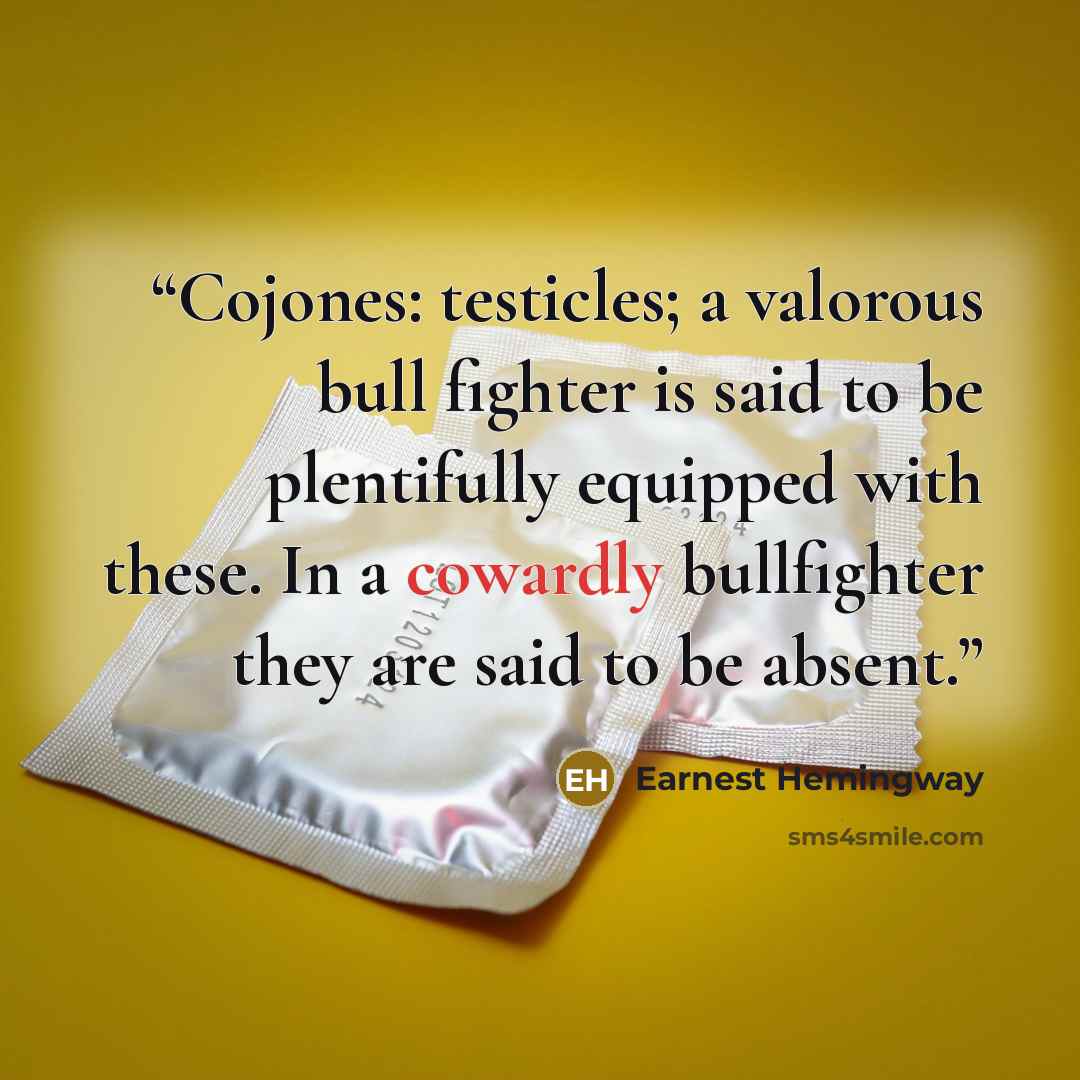 “Cojones: testicles; a valorous bull fighter is said to be plentifully equipped with these. In a cowardly bullfighter they are said to be absent.” quote by earnest hemingway