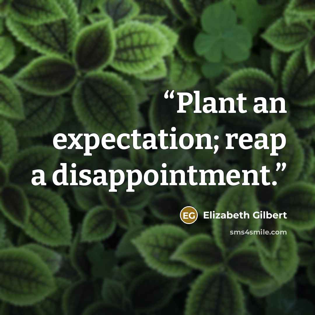 “Plant an expectation; reap a disappointment.” quote by Elizabeth Gilbert