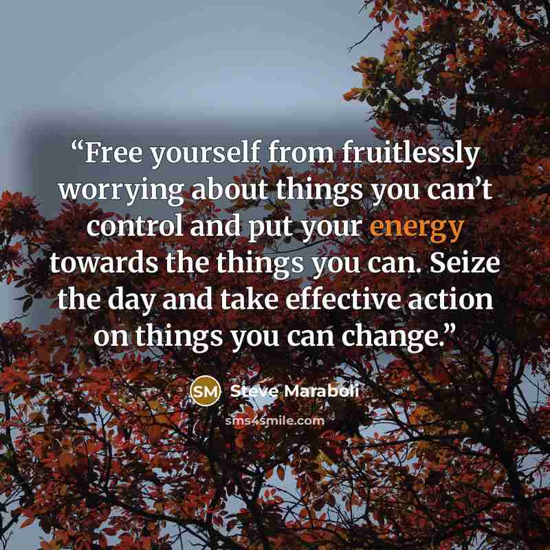 “Free yourself from fruitlessly worrying about things you can’t control and put your energy towards the things you can. Seize the day and take effective action on things you can change.” quote by Steve Maraboli