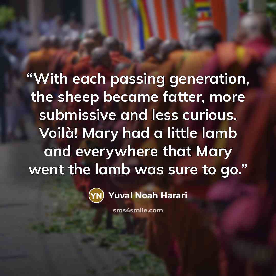 “With each passing generation, the sheep became fatter, more submissive and less curious. Voilà! Mary had a little lamb and everywhere that Mary went the lamb was sure to go.” quote by Yuval Noah Harari