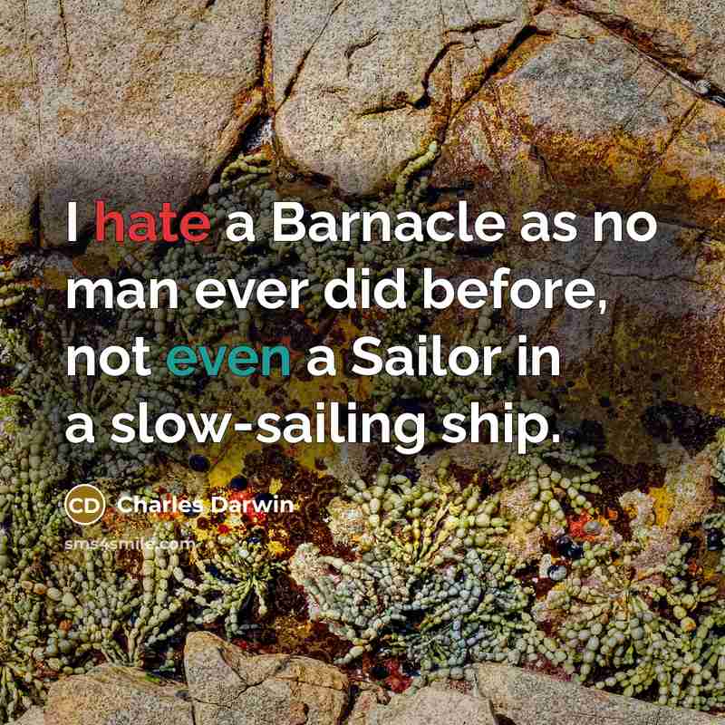“I hate a Barnacle as no man ever did before, not even a Sailor in a slow-sailing ship.” quote by Charles Darwin