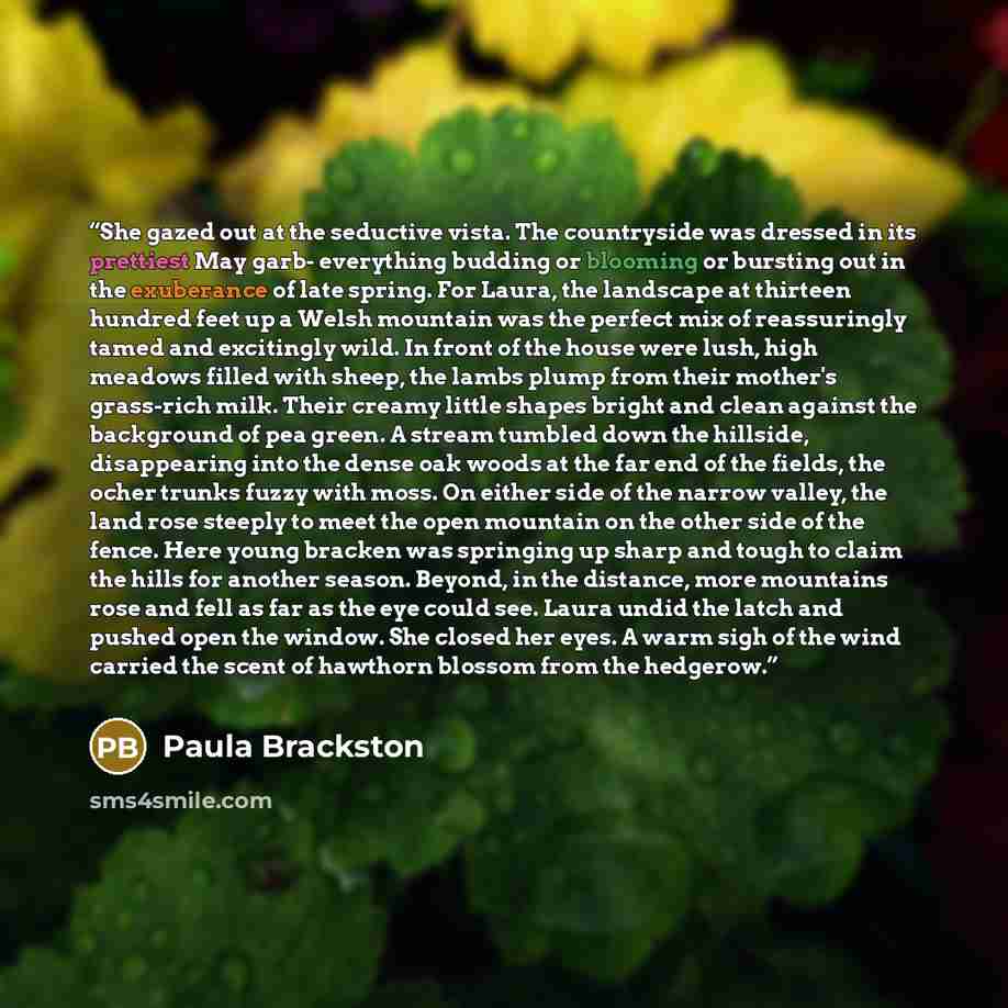“She gazed out at the seductive vista. The countryside was dressed in its prettiest May garb- everything budding or blooming or bursting out in the exuberance of late spring. For Laura, the landscape at thirteen hundred feet up a Welsh mountain was the perfect mix of reassuringly tamed and…” quote by Paula Brackston