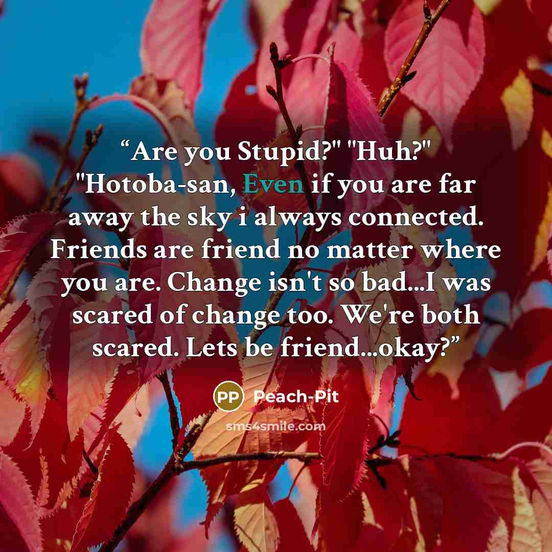“Are you Stupid?" "Huh?" "Hotoba-san, Even if you are far away the sky i always connected. Friends are friend no matter where you are. Change isn't so bad...I was scared of change too. We're both scared. Lets be friend...okay?” quote by Peach-Pit