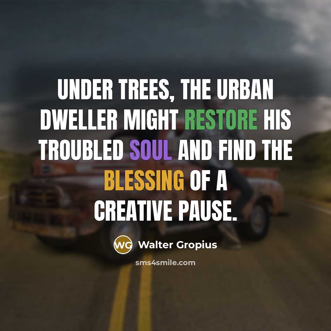 “Under trees, the urban dweller might restore his troubled soul and find the blessing of a creative pause.” quote by Walter Gropius