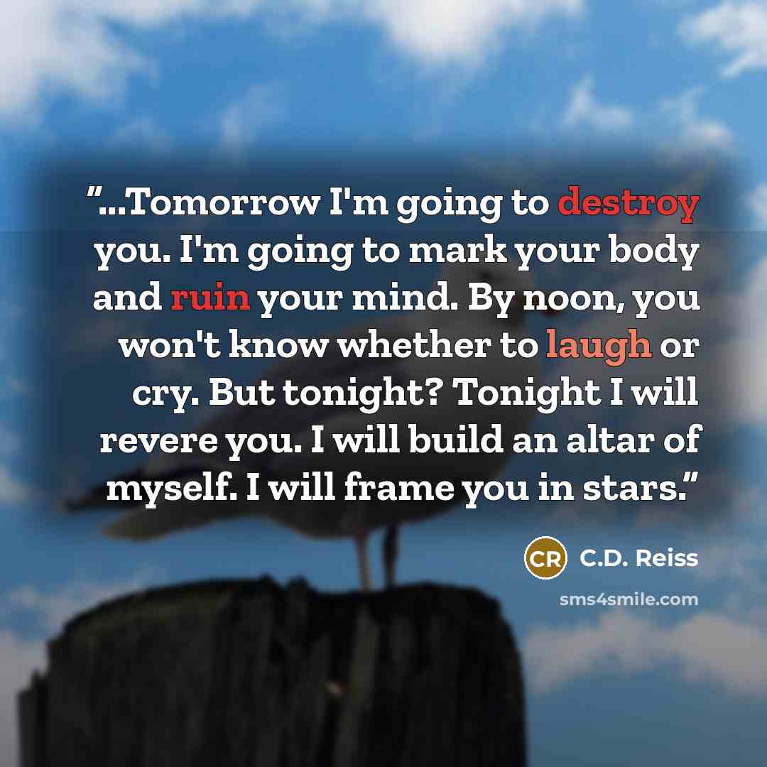 “...Tomorrow I'm going to destroy you. I'm going to mark your body and ruin your mind. By noon, you won't know whether to laugh or cry. But tonight? Tonight I will revere you. I will build an altar of myself. I will frame you in stars.” quote by C.D. Reiss