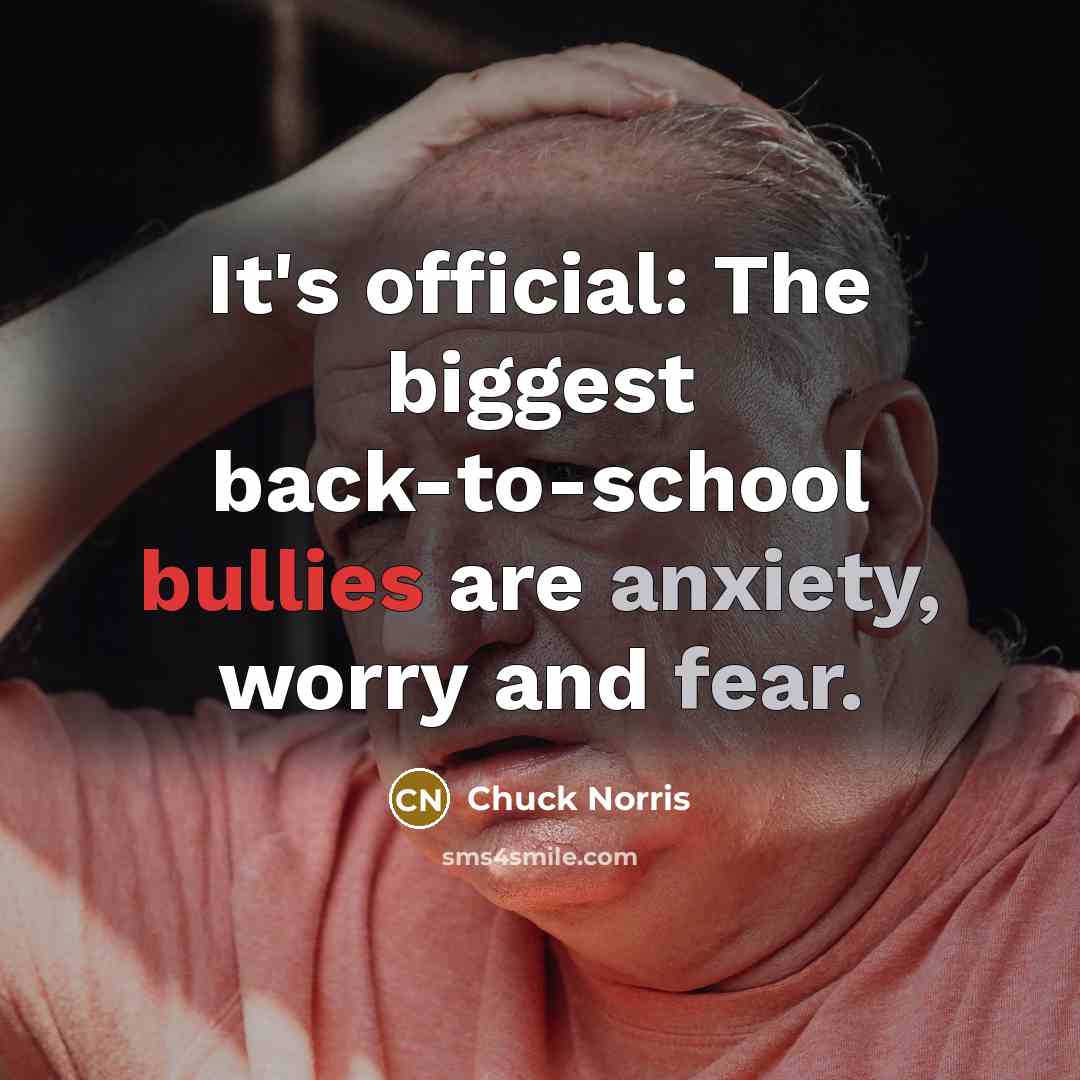 “It's official: The biggest back-to-school bullies are anxiety, worry and fear.” quote by Chuck Norris