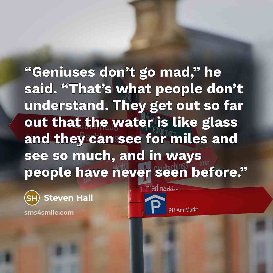 “Geniuses don’t go mad,” he said. “That’s what people don’t understand. They get out so far out that the water is like glass and they can see for miles and see so much, and in ways people have never seen before.” quote by Steven Hall