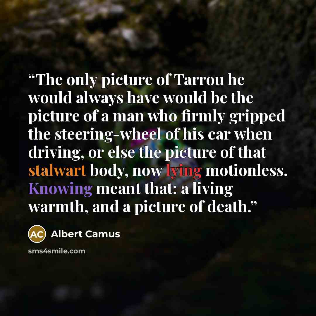 “The only picture of Tarrou he would always have would be the picture of a man who firmly gripped the steering-wheel of his car when driving, or else the picture of that stalwart body, now lying motionless. Knowing meant that: a living warmth, and a picture of death.” quote by albert camus