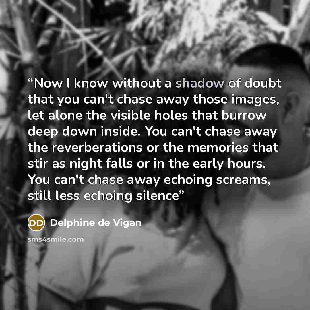 “Now I know without a shadow of doubt that you can't chase away those images, let alone the visible holes that burrow deep down inside. You can't chase away the reverberations or the memories that stir as night falls or in the early hours. You can't chase away echoing screams, still less echoing…” quote by Delphine de Vigan
