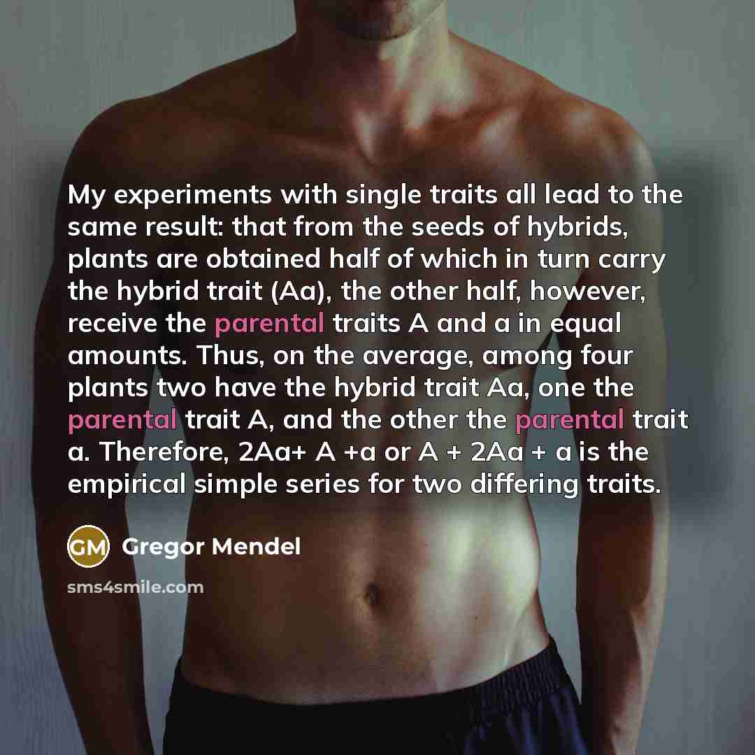 “My experiments with single traits all lead to the same result: that from the seeds of hybrids, plants are obtained half of which in turn carry the hybrid trait (Aa), the other half, however, receive the parental traits A and a in equal amounts. Thus, on the average, among four plants two have the…” quote by Gregor Mendel