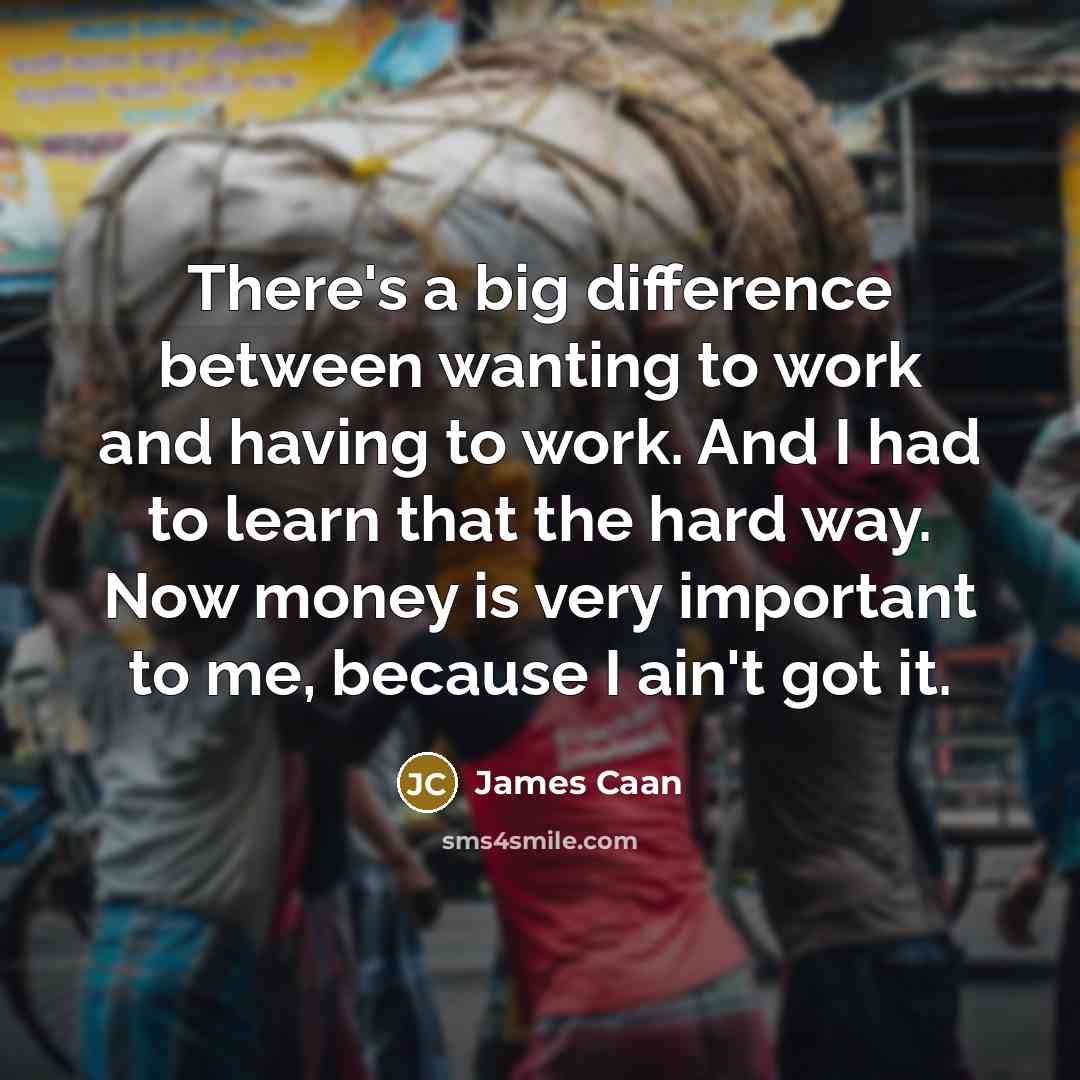 “There's a big difference between wanting to work and having to work. And I had to learn that the hard way. Now money is very important to me, because I ain't got it.” quote by James Caan