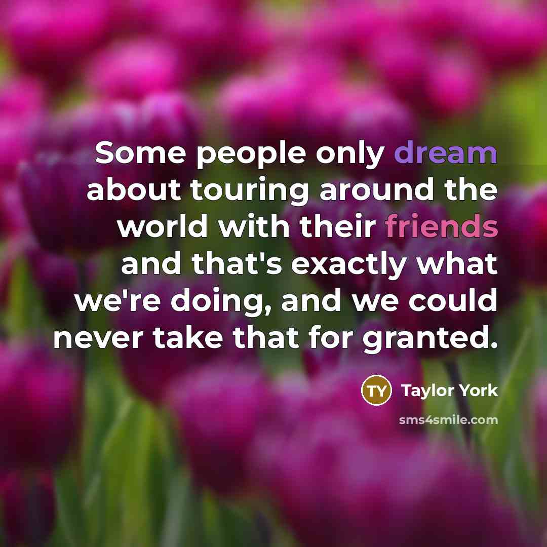“Some people only dream about touring around the world with their friends and that's exactly what we're doing, and we could never take that for granted.” quote by Taylor York