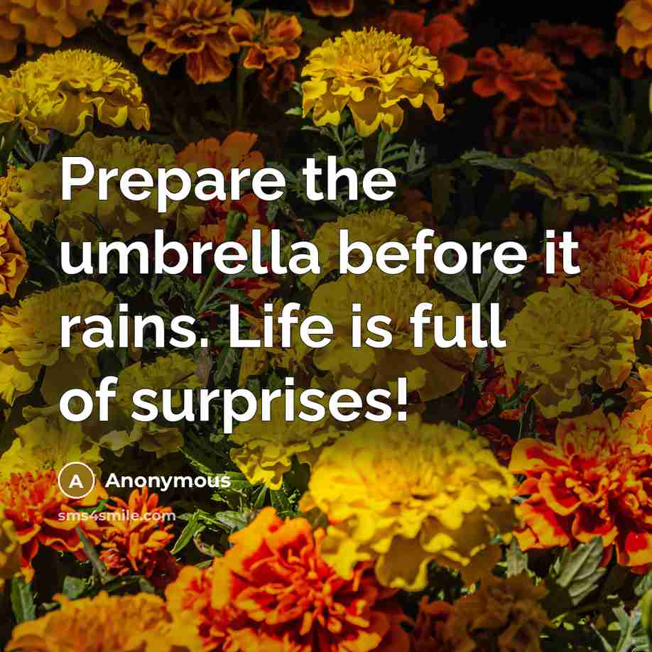 “Prepare the umbrella before it rains. Life is full of surprises!” quote by Anonymous