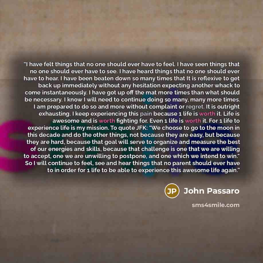 “I have felt things that no one should ever have to feel. I have seen things that no one should ever have to see. I have heard things that no one should ever have to hear. I have been beaten down so many times that It is reflexive to get back up immediately without any hesitation expecting another…” quote by John Passaro