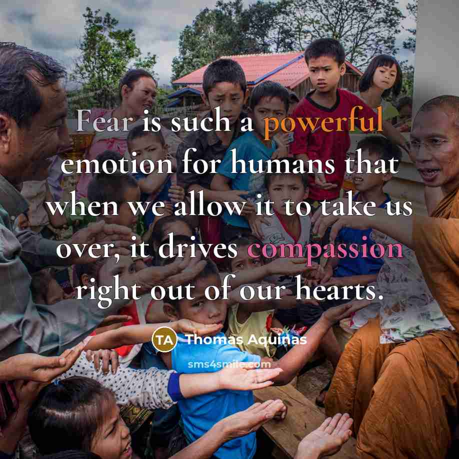 “Fear is such a powerful emotion for humans that when we allow it to take us over, it drives compassion right out of our hearts.” quote by Thomas Aquinas