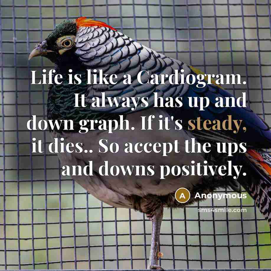 “Life is like a Cardiogram. It always has up and down graph. If it's steady, it dies.. So accept the ups and downs positively.” quote by Anonymous