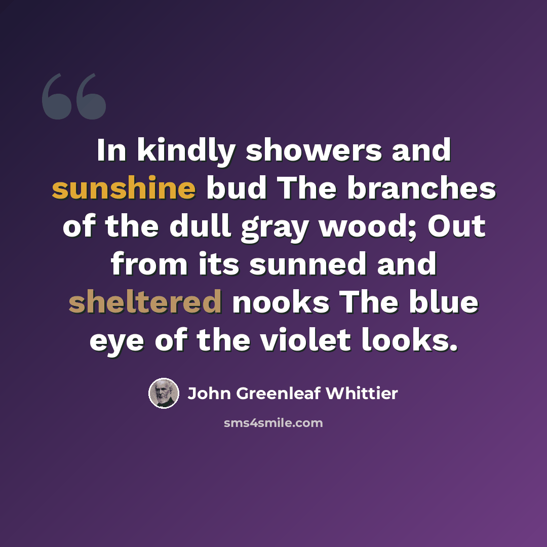 “In kindly showers and sunshine bud The branches of the dull gray wood; Out from its sunned and sheltered nooks The blue eye of the violet looks.” quote by John Greenleaf Whittier