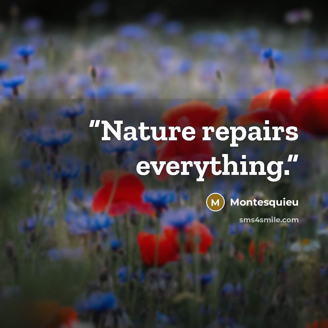 “Nature repairs everything.” quote by Montesquieu
