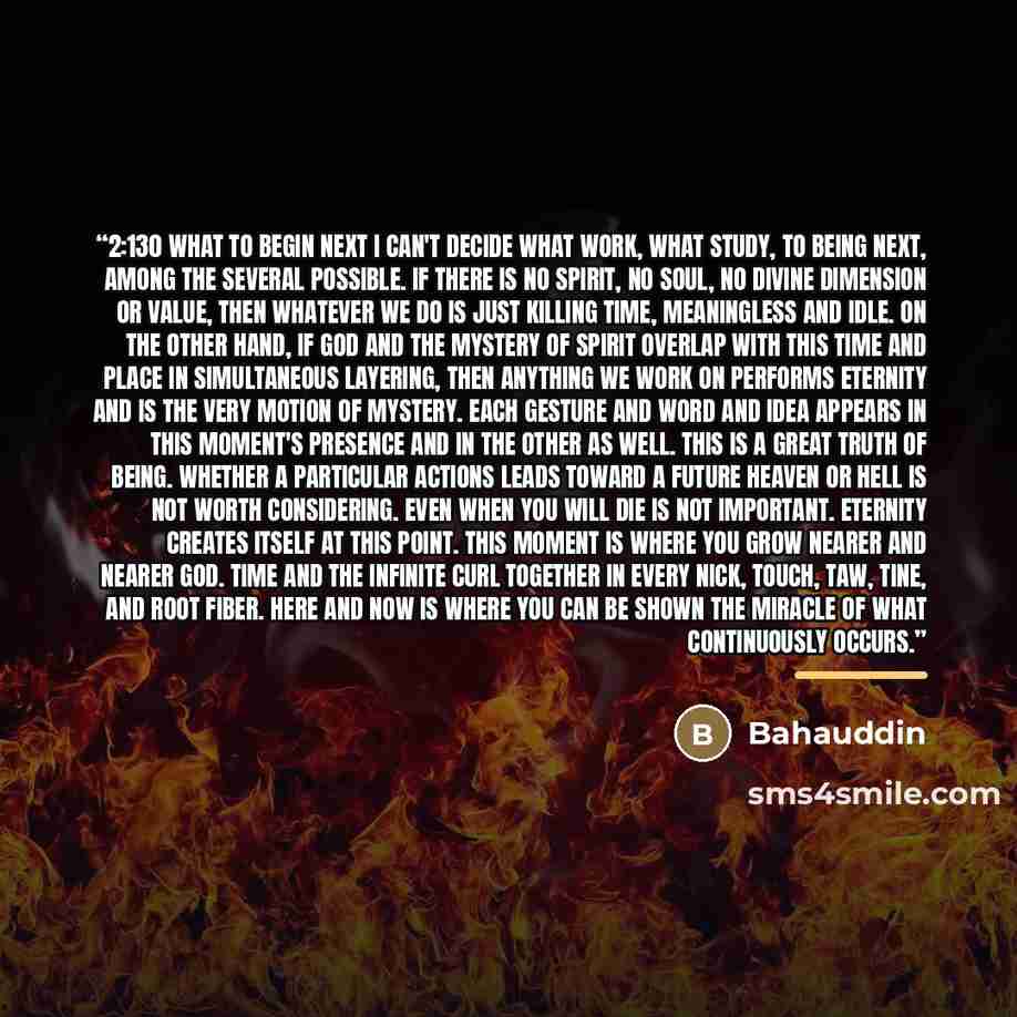 “2:130 WHAT TO BEGIN NEXT I can't decide what work, what study, to being next, among the several possible. If there is no spirit, no soul, no divine dimension or value, then whatever we do is just killing time, meaningless and idle. On the other hand, if God and the mystery of spirit overlap with…” quote by Bahauddin