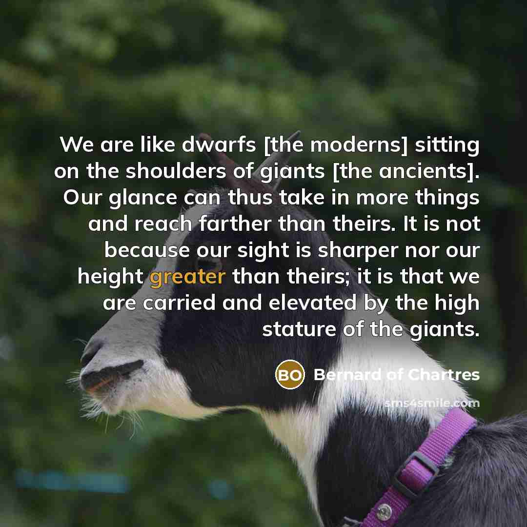 “We are like dwarfs [the moderns] sitting on the shoulders of giants [the ancients]. Our glance can thus take in more things and reach farther than theirs. It is not because our sight is sharper nor our height greater than theirs; it is that we are carried and elevated by the high stature of the…” quote by Bernard of Chartres