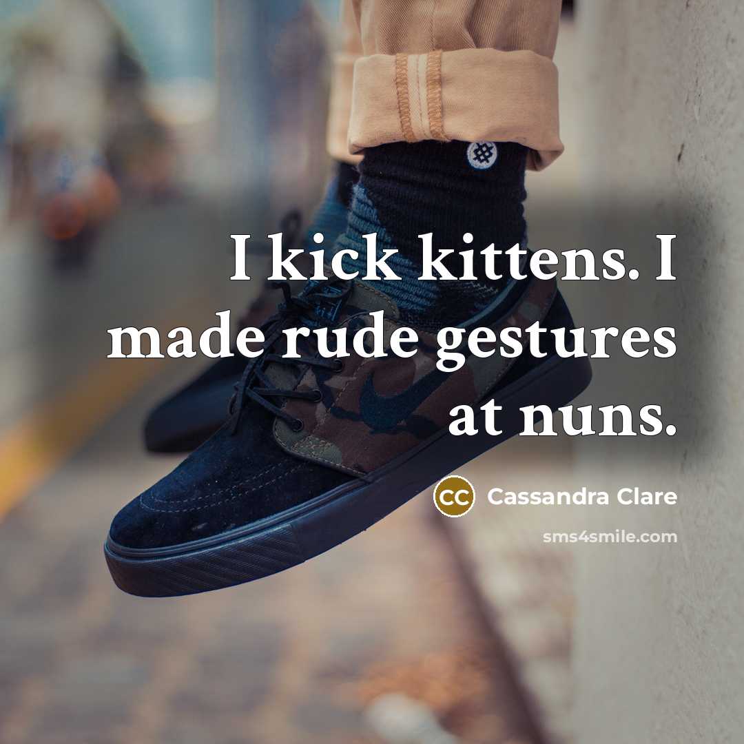 “I kick kittens. I made rude gestures at nuns.” quote by Cassandra Clare